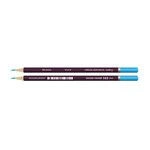 High-Quality Colored Art Pencils "VISTA-ARTISTA" Gallery VGCP (6 pcs)