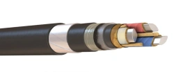 Power Cable with Aluminum Conductors and Impregnated Paper Insulation, 6-10 kV, ASBvng(A)-LS