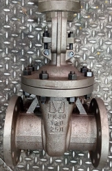 Steel Wedge Gate Valve with Rising Stem for PN 4.0 MPa DN 100