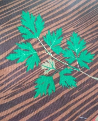 Cotton Printed Fabric Rogozhka Art. 150, 100% Cotton, 150 cm Width