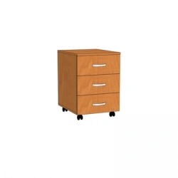 Mobile Cabinet for Storage and Organization