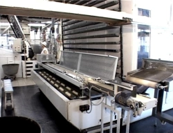 Dough Proving Cabinet for Optimal Fermentation