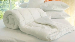 Adult Bed Blanket - Cotton and Synthetic Fabrics