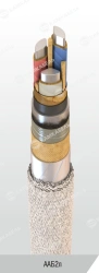 Power Cable with Aluminum Conductors and Paper Insulation, 6-10kV
