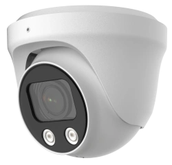 RVX-4234 Machine Vision Camera for Surveillance