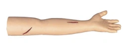 Surgical Skills Training Model - Left Hand, N
