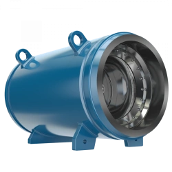 Axial Check Valves PT41002