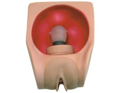 Advanced Female Contraceptive Model - T34B