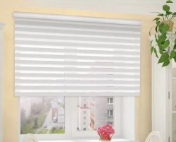 Custom Made CLIC BOX DUO Roller Shades