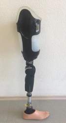 Modular Microprocessor-Controlled Hip Prosthesis PN-BM