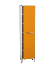 Floor Cabinet DM-6-001-02 with Shelves and Doors
