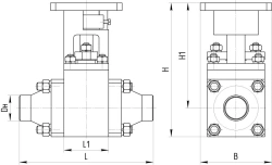 Steel Ball Valve for Sealing, AТЭК.491284.050