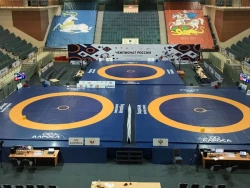 Wrestling Mat with PVC Covering, Various Sizes Available