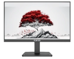 23.8-Inch LCD Monitor for Computers, Model RDW2401B