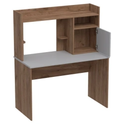 Computer Desk for Offices and Institutions - Model SK-1 by Edelwood