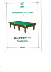 Billiard Table for Pool and Russian Pyramid Games