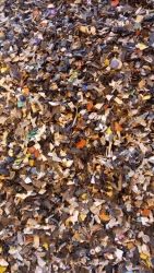 Plastic Breaker for Efficient Waste Management