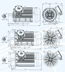 General Purpose Induction Motors DA 250 up to 37 kW
