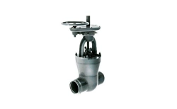 Gate Valve 1017-250-CZ for Complete Flow Control