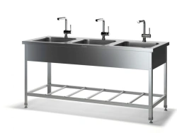 Stainless Steel Table with Seamless Sinks VMRZ-N