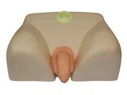 Anatomically Accurate Male Catheterization Model NS6032A