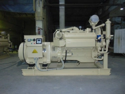 Marine Diesel Generator DГ200-1А-230 - Compliant with Russian River Register