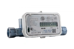 Gas Meter "Prince" G10 for Natural and Liquefied Gas Measurement