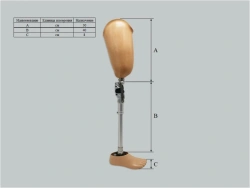 Customizable Bathing Hip Prosthesis