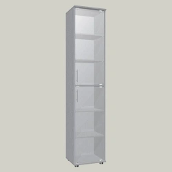 Document Cabinet with Two Glass Doors Model SHS-5