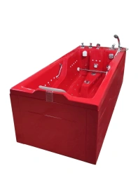 Hydrotherapy Bath "Okkerville" with Hydro/Aero Massage and Chromotherapy - G30/A15/X/E/S