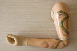 Energy-Powered Prosthetic Arm for Upper Limb Rehabilitation