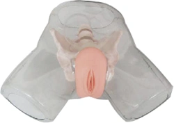 Female Bladder Catheterization Training Model NS6031 / D2/D4