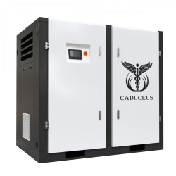 Medical Air Compressor Station CADUCEUS AIRCAD 2-110 S