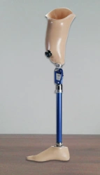 Bathing Prosthesis for Hip Replacement