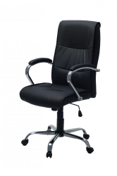 Sting Executive Chair - Stylish and Modern Design