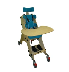 Functional Seating Supports for Children with Disabilities "I CAN!" TU 32.50.22-004-91079148-2018