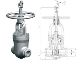 Gate Valve for Nuclear Power Plant Applications 1016-250-CZ