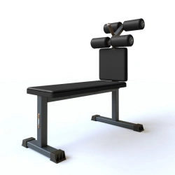 Roman Chair for Abdominal Muscle Training BF-315