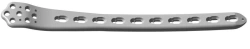 Support Plate for Condyle (415 Holes, Length 140300mm) Right/Left