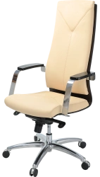 Comfortable Madera High Back Chair