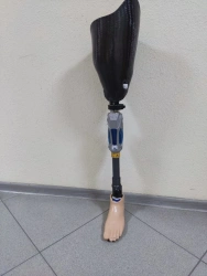 Human Lower Limb Prosthesis