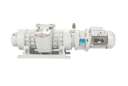 NVD-600 Dual-Rotor Vacuum Pump for Non-Aggressive Gases