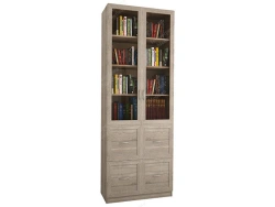 Book Storage Cabinet for Organizing Your Books
