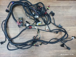 Wire Harness for Automotive Electrical Equipment A63R42.3724030-XX