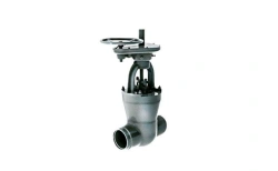 Gate Valve 1016-250-CZ for Complete Flow Control