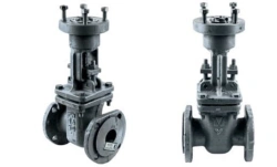 Steel Wedge Gate Valve with Extension Spindle for PN 1.6 MPa DN 50