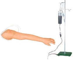 Advanced Injection Practice Arm Model S8