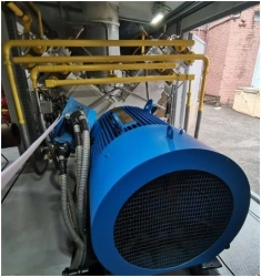 Natural Gas Compression Piston Compressor KPG-125E.01.000