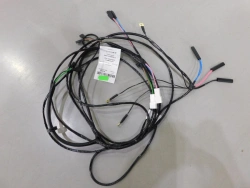 Ceiling Wiring Harness 55111-3724038-10