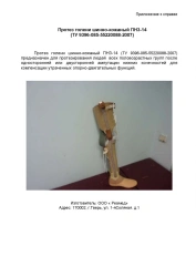 PN3-14 Below-Knee Prosthesis for Amputees